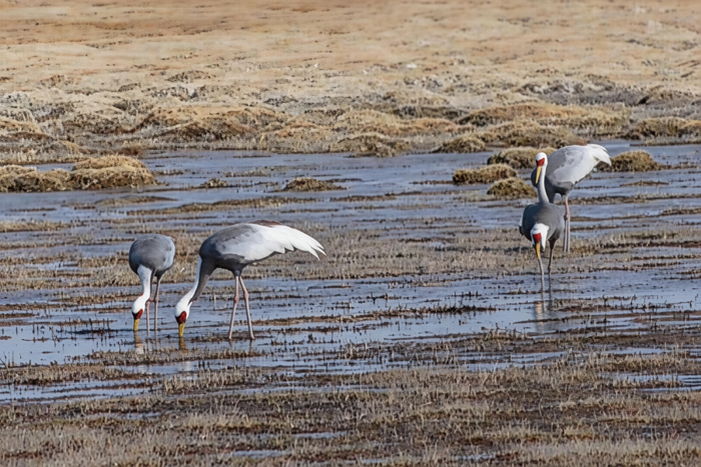 111773197081331700.png image.png